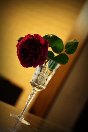 b0148547_23592888.jpg