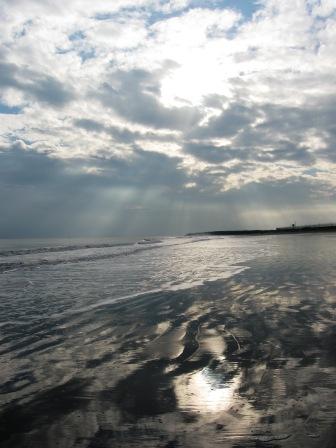 佐野まり　Mari Sano