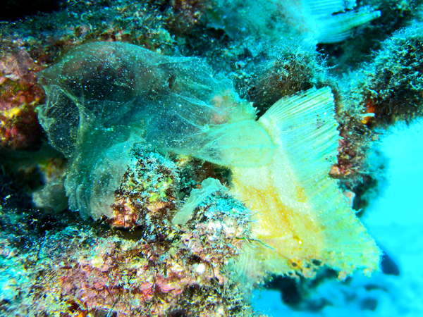 b0062363_22305952.jpg