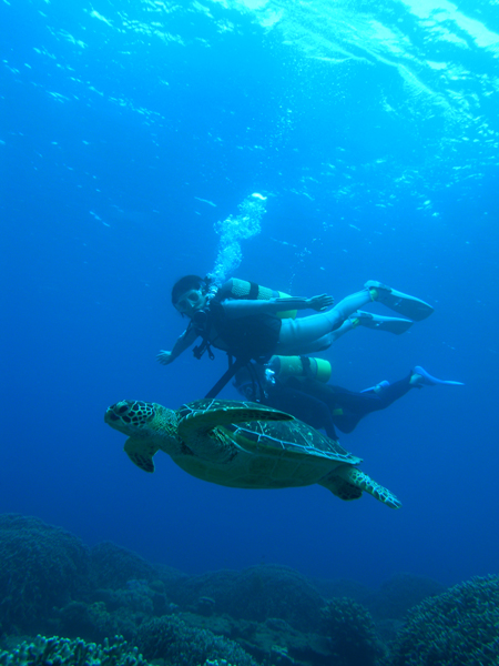 b0062363_22353410.jpg