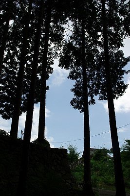 f0106664_7344647.jpg