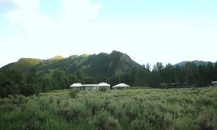 c0194469_12195493.jpg