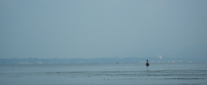c0197578_1210275.jpg