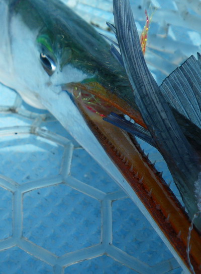 c0197578_12401846.jpg
