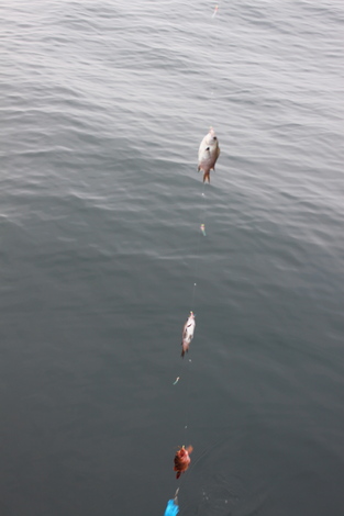 f0138588_21463411.jpg