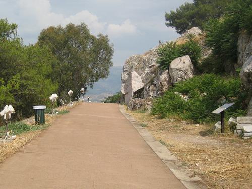c0010496_19283379.jpg