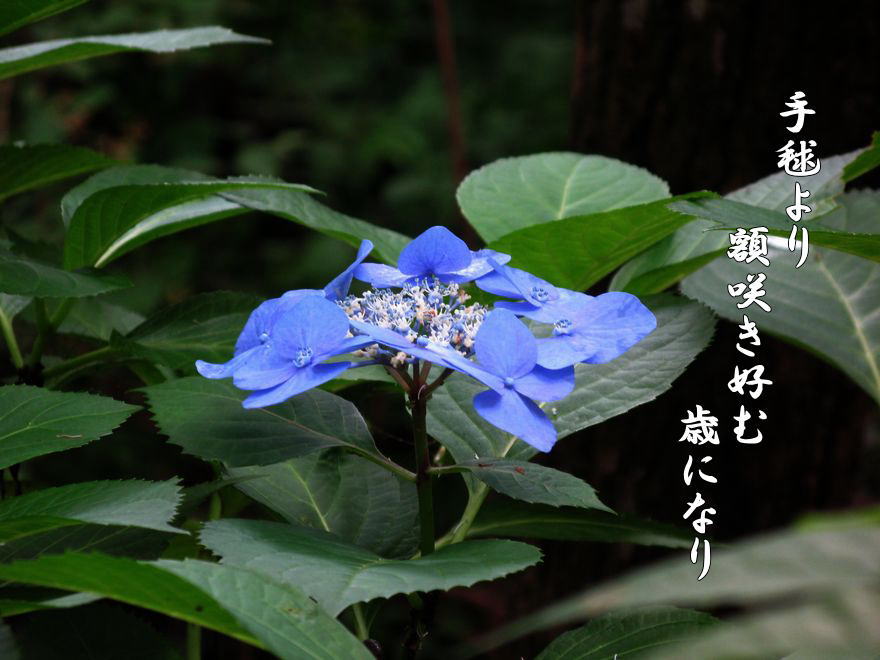 f0137096_1447643.jpg