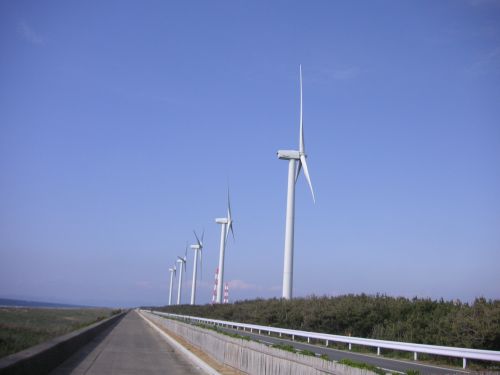 d0115997_2325289.jpg