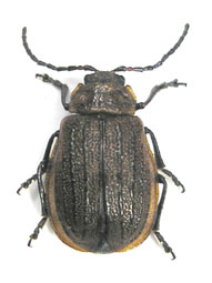 e0083097_22424250.jpg
