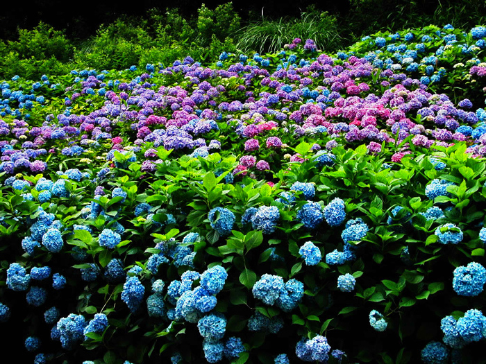 c0177502_2357177.jpg