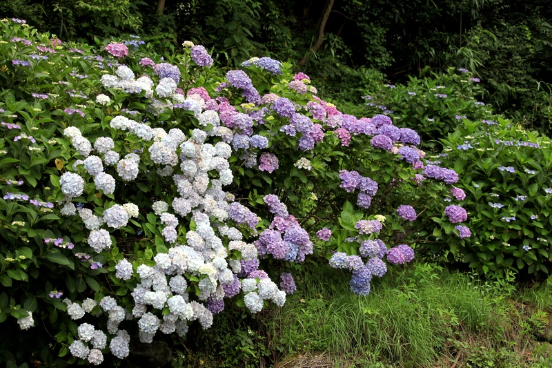 c0043403_2238014.jpg