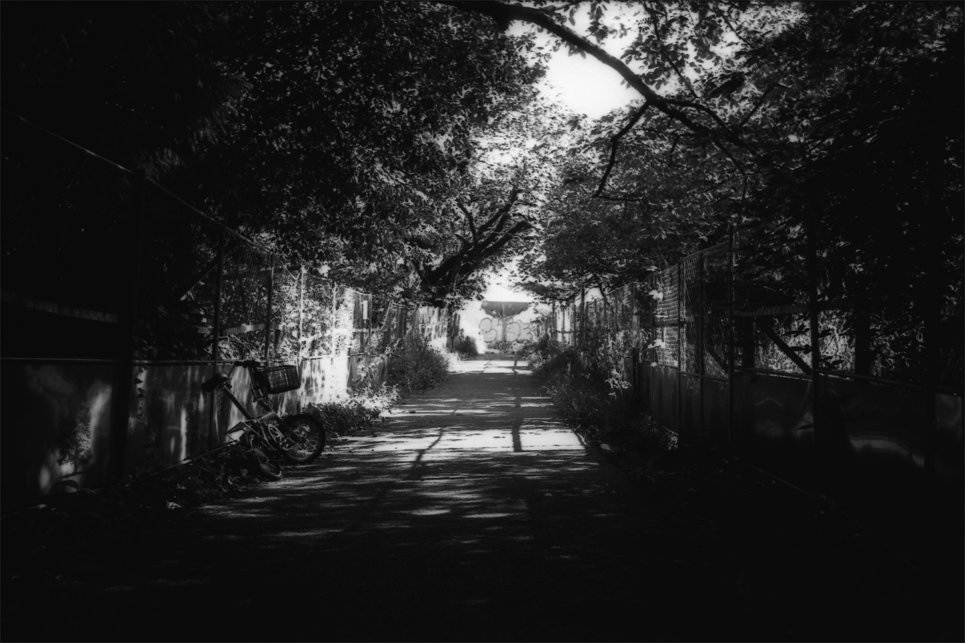 c0120903_272328.jpg
