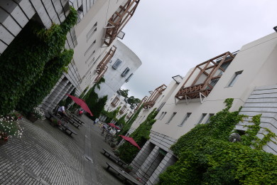 a0007906_0404018.jpg