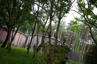 a0007906_0411840.jpg