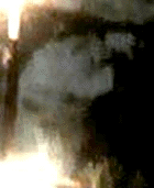 e0103408_14462553.gif