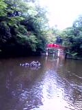 f0054809_233939.jpg