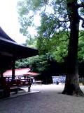 f0054809_2341553.jpg