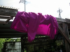 c0190010_21371914.jpg