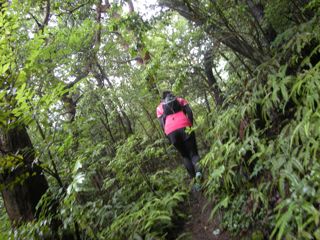 b0183911_2393330.jpg
