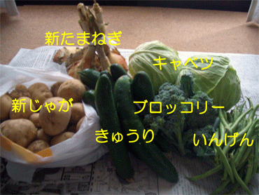c0143711_19183895.gif