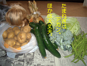 c0143711_19211529.gif