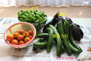 c0143711_19375480.gif