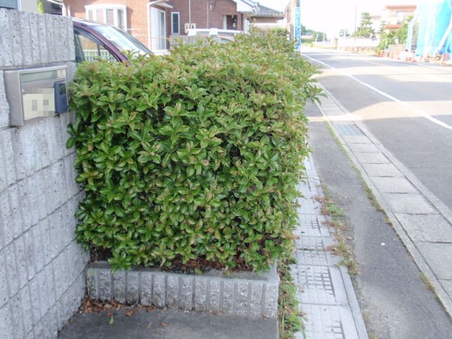 b0062214_19285728.jpg