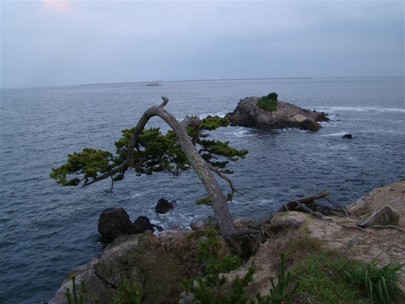 a0127015_20112660.jpg