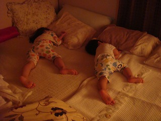 f0011322_1554063.jpg