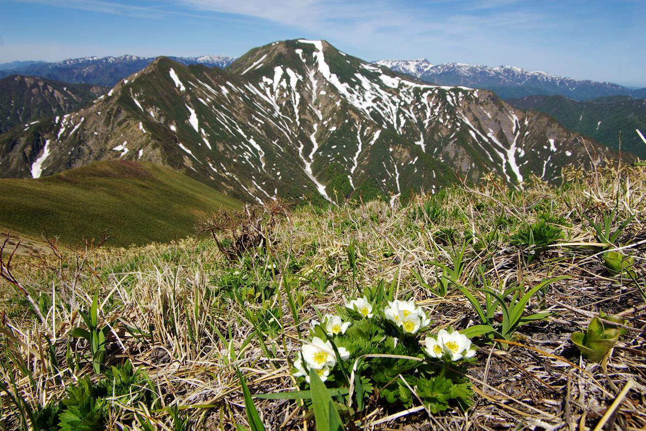 b0062024_21313044.jpg