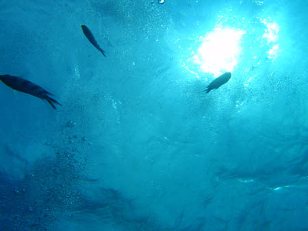 f0072124_21505275.jpg