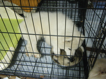 e0024126_2010688.jpg