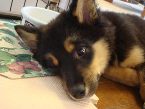 c0078428_13135919.jpg