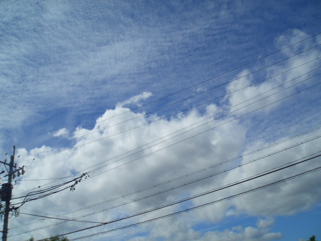 a0099129_1626530.jpg