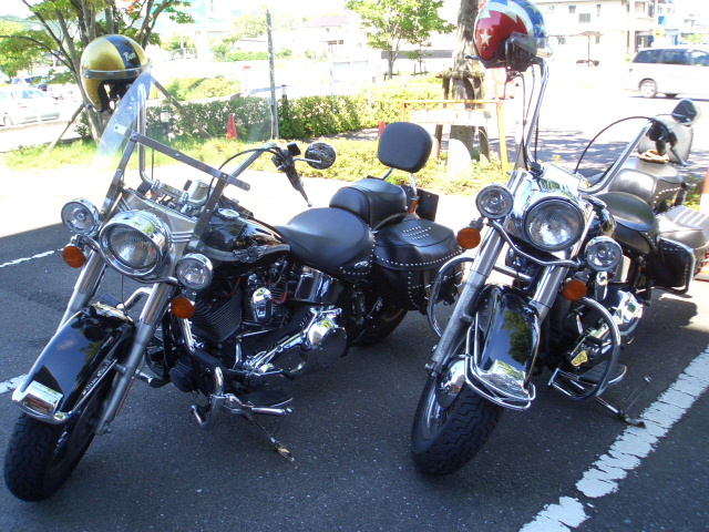 a0099129_16281729.jpg