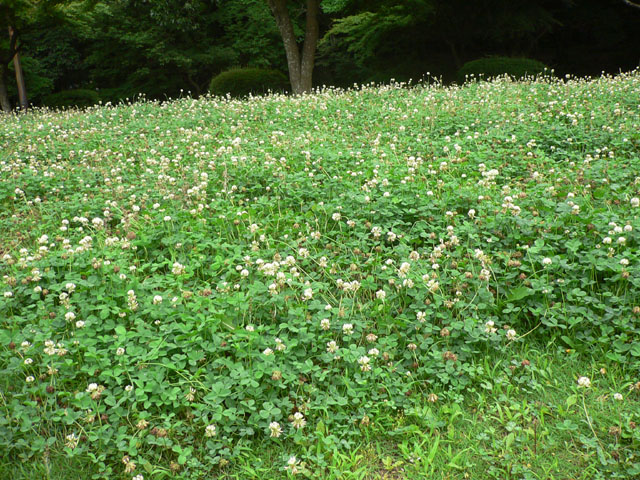 d0059230_10405032.jpg