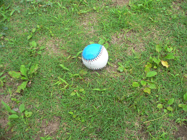 d0059230_10462764.jpg