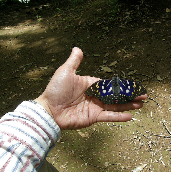 a0126632_20465693.jpg