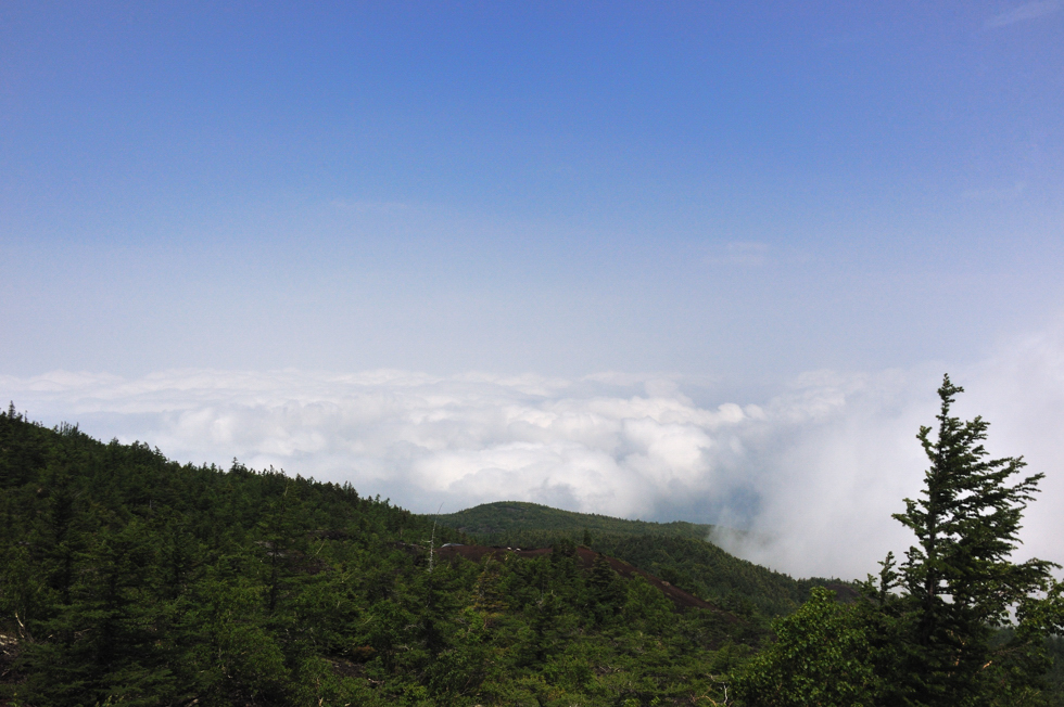 c0193532_859754.jpg