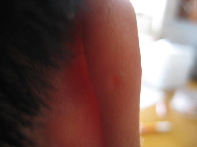 e0166032_17142978.jpg