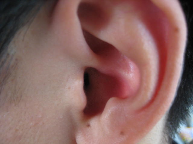 e0166032_17153214.jpg