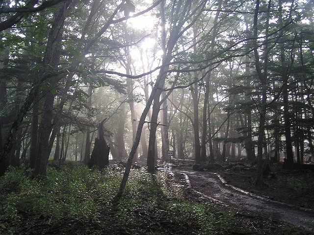 b0099538_12155879.jpg