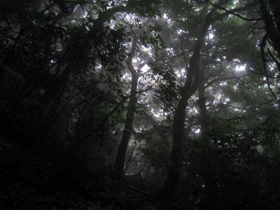 c0077338_21464394.jpg