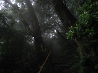 c0077338_2147039.jpg