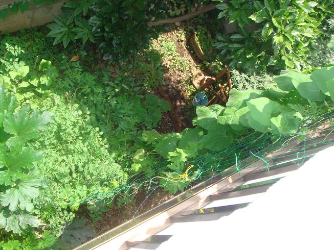 c0206739_21393149.jpg