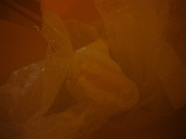 e0022439_2124947.jpg