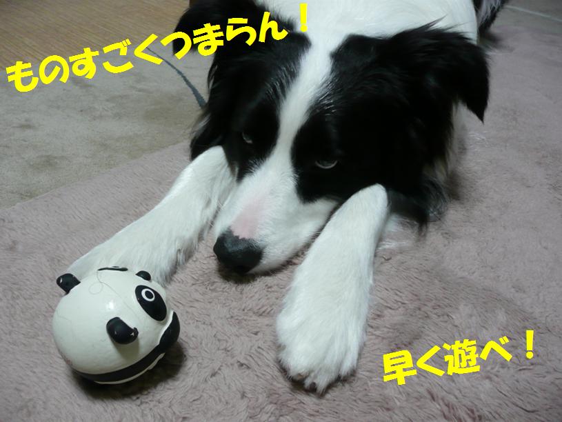 c0147241_18304210.jpg