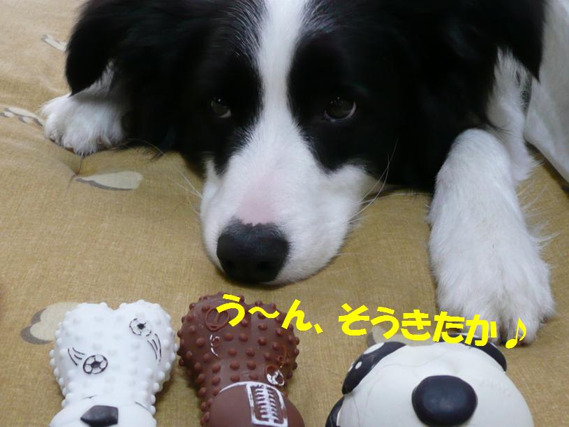 c0147241_18304911.jpg