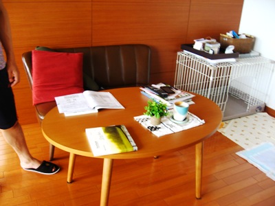 a0074543_20514328.jpg