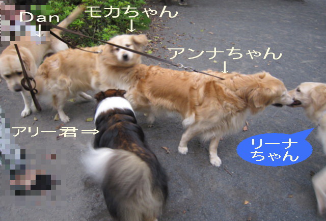 a0142343_13105486.jpg